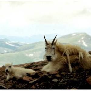 Meet your Posher, Kenneth